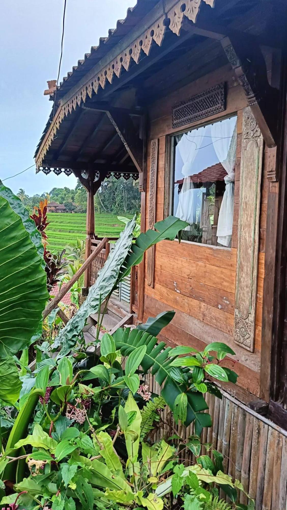 D'Ume Bendoel Homestay Jatiluwih Exterior foto